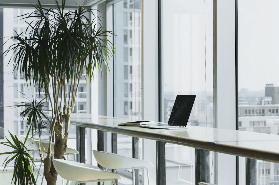 A senior UAE studio working for UAE growth